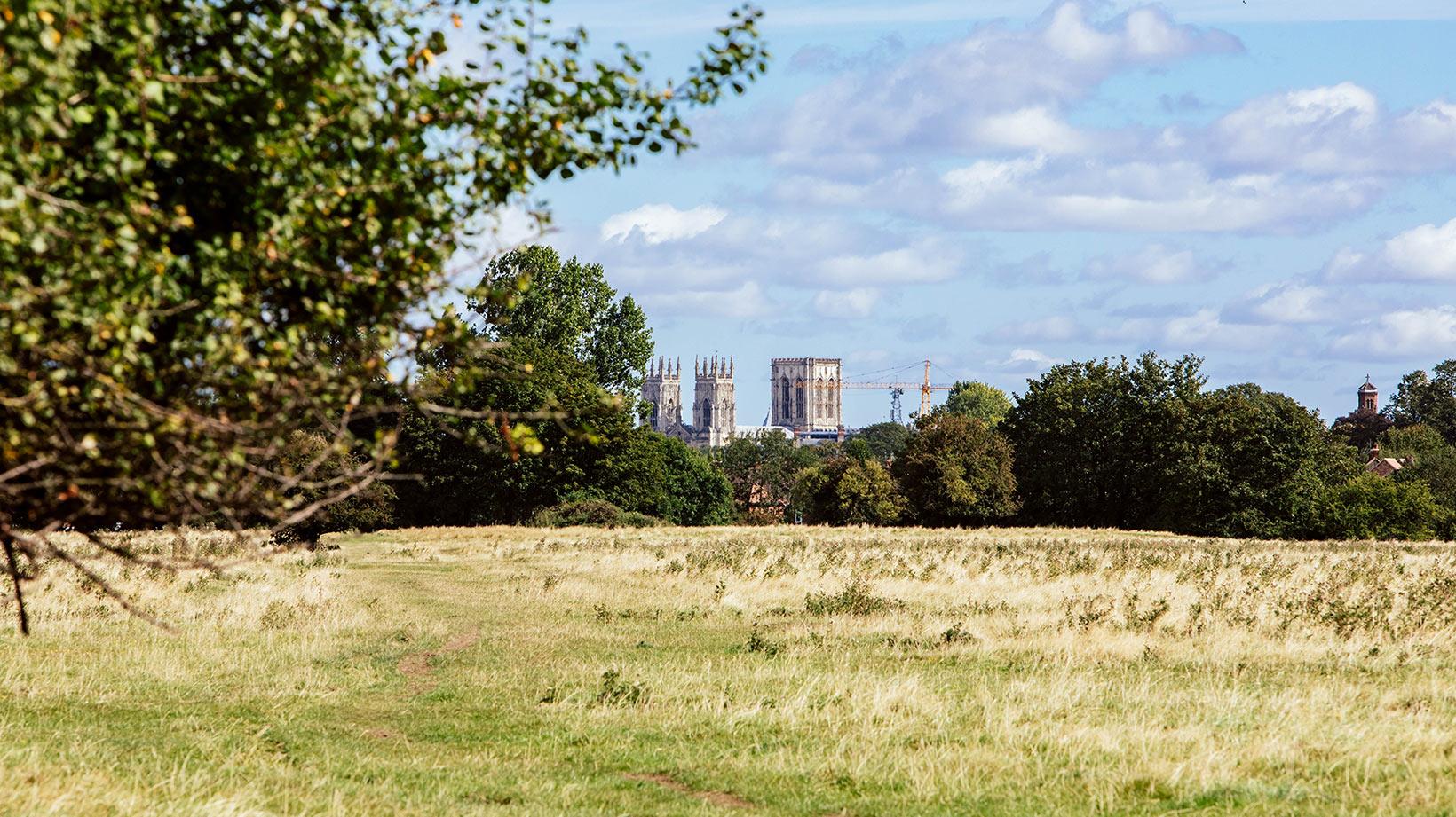 An image of a wood and a field. York cathedral can be seen in the distance.