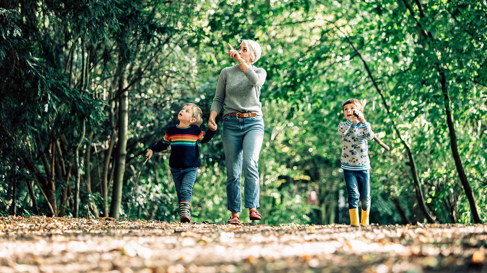 A woman walking through the woods with her two small children.
