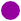 This image shows a purple dot. This colour matches the colour of the Grosvenor North house on the site plan.