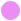 This image shows a pink dot. This colour matches the colour of the Grosvenor South house on the site plan.